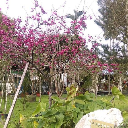 Sun Moon Lake Wild Flower Bed and Breakfast Yuchi Exteriör bild