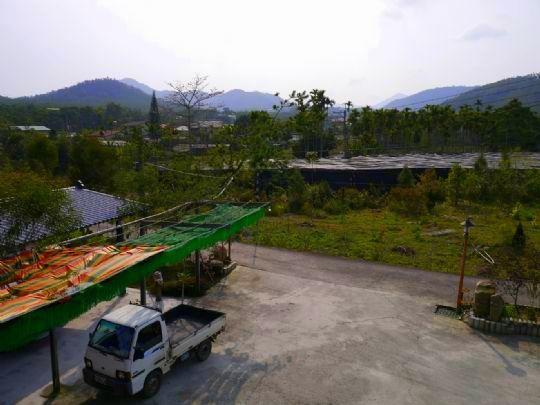 Sun Moon Lake Wild Flower Bed and Breakfast Yuchi Exteriör bild